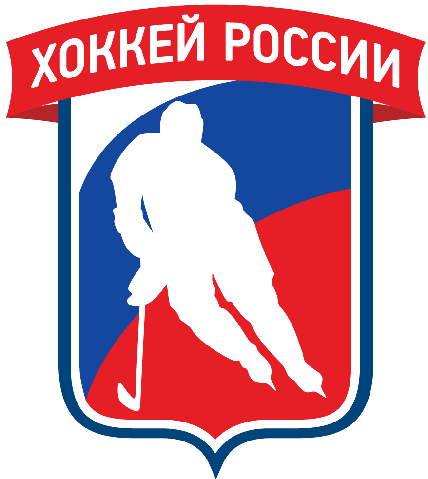 Russia 2016-Pres Partial Logo v4 iron on heat transfer